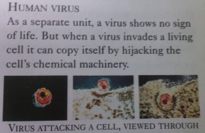 human virus 1